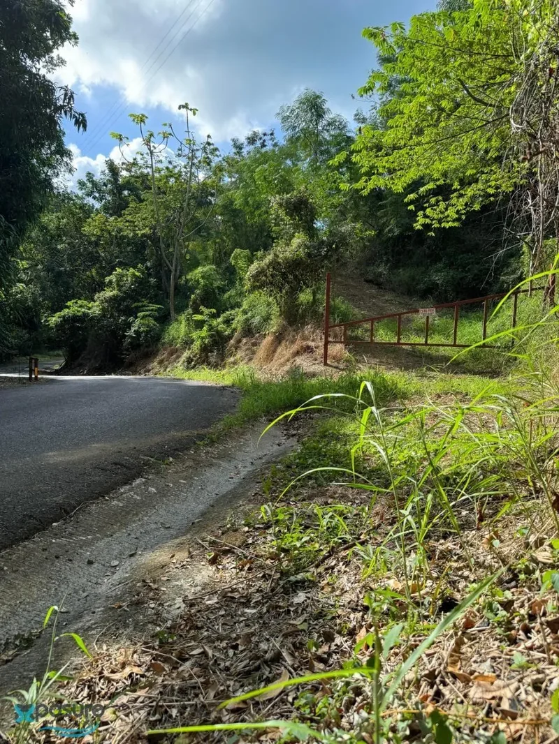 Añasco CARRETERA 115 KM 7. BO CAGUABO 0, Añasco, Añasco, Puerto Rico. - Photo 12