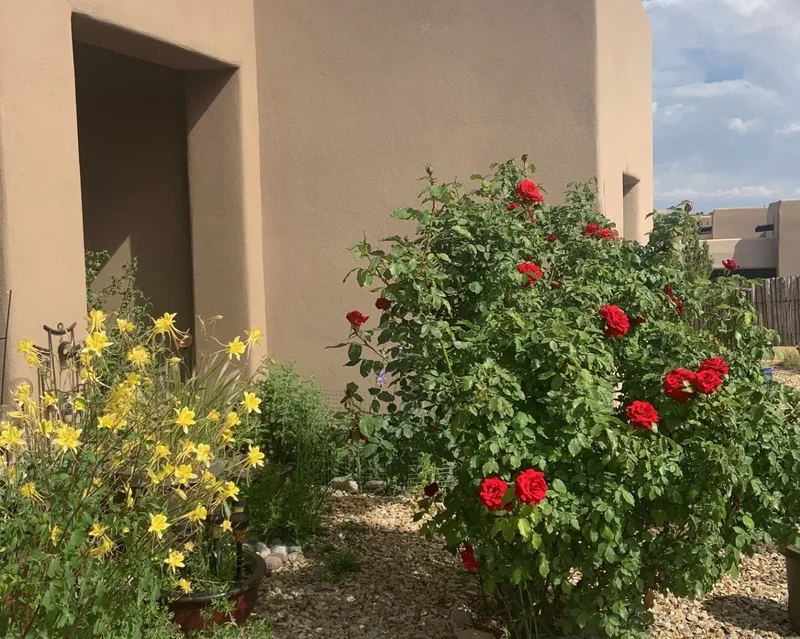 12 Via Optima, Santa Fe, NM 87507, Santa Fe, New Mexico, United States. - Photo 46