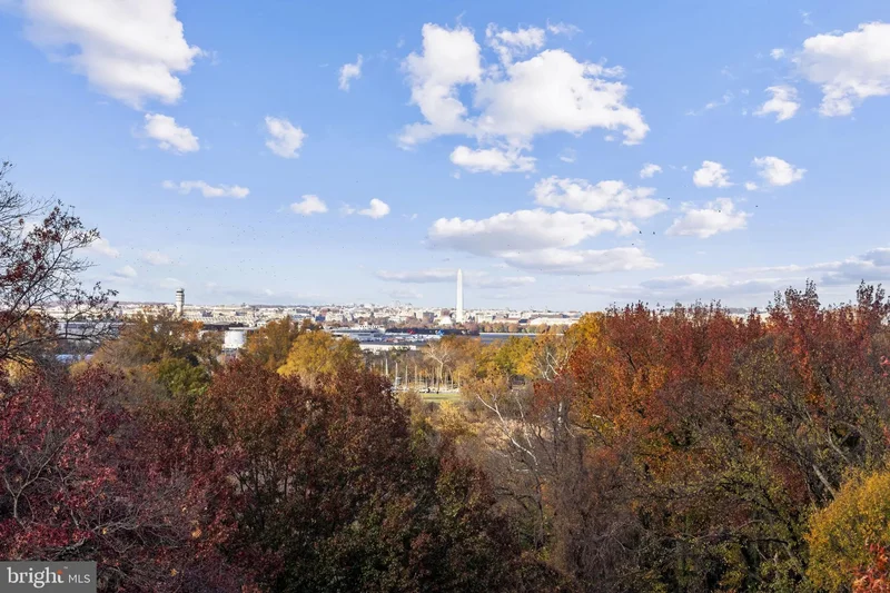 625 SLATERS LN, Alexandria, Virginia, United States. - Photo 26