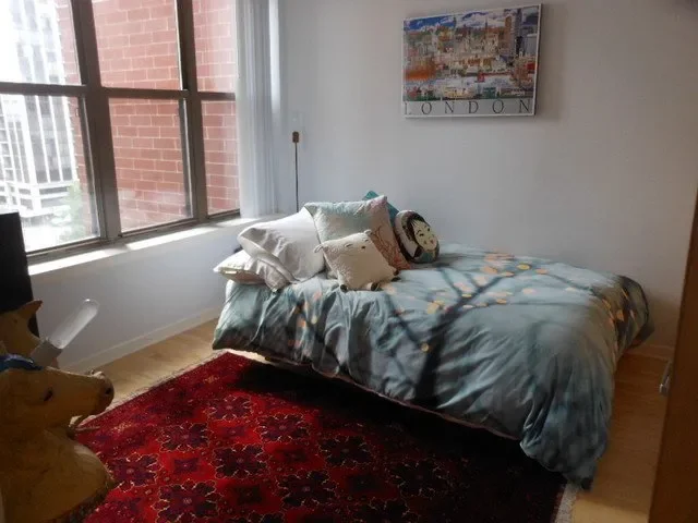 1250 S Indiana Ave 803, Chicago, IL 60605, Chicago, Illinois, United States. - Photo 20