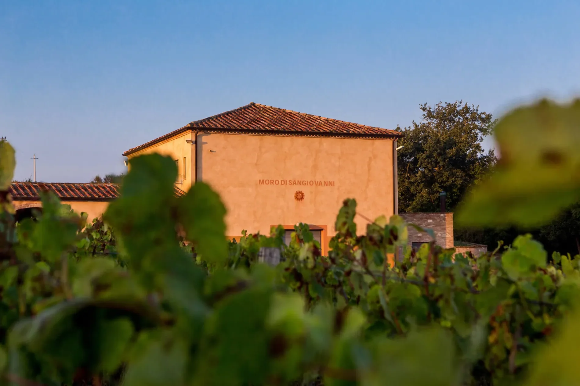53024 Montalcino, Province of Siena, Italy, Castelnuovo dell’Abate, Tuscany, Italy. - Photo 28