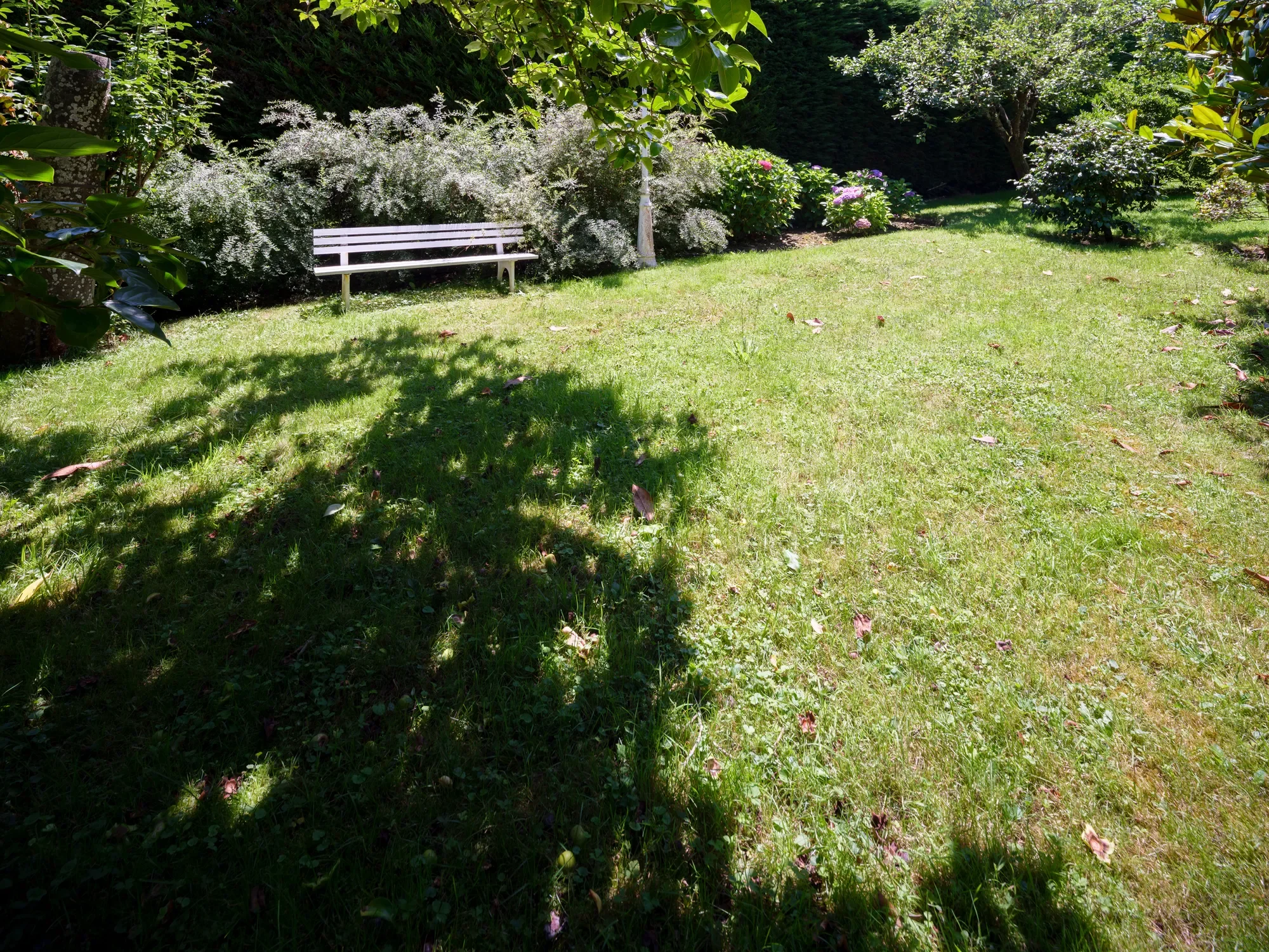 33584 Sebares, Asturias, Spain, Pilona, Asturias, Spain. - Photo 10