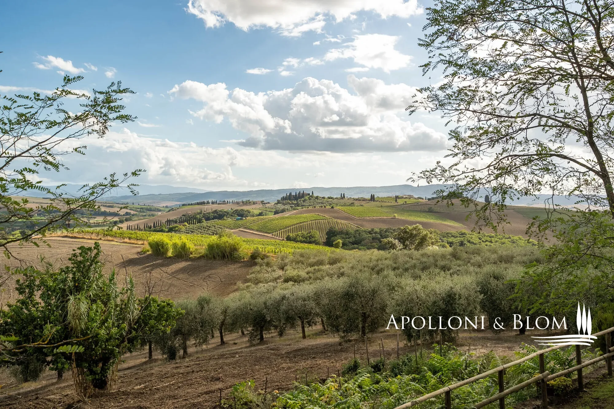 SP 14, Tuscany, Italy. - Photo 43