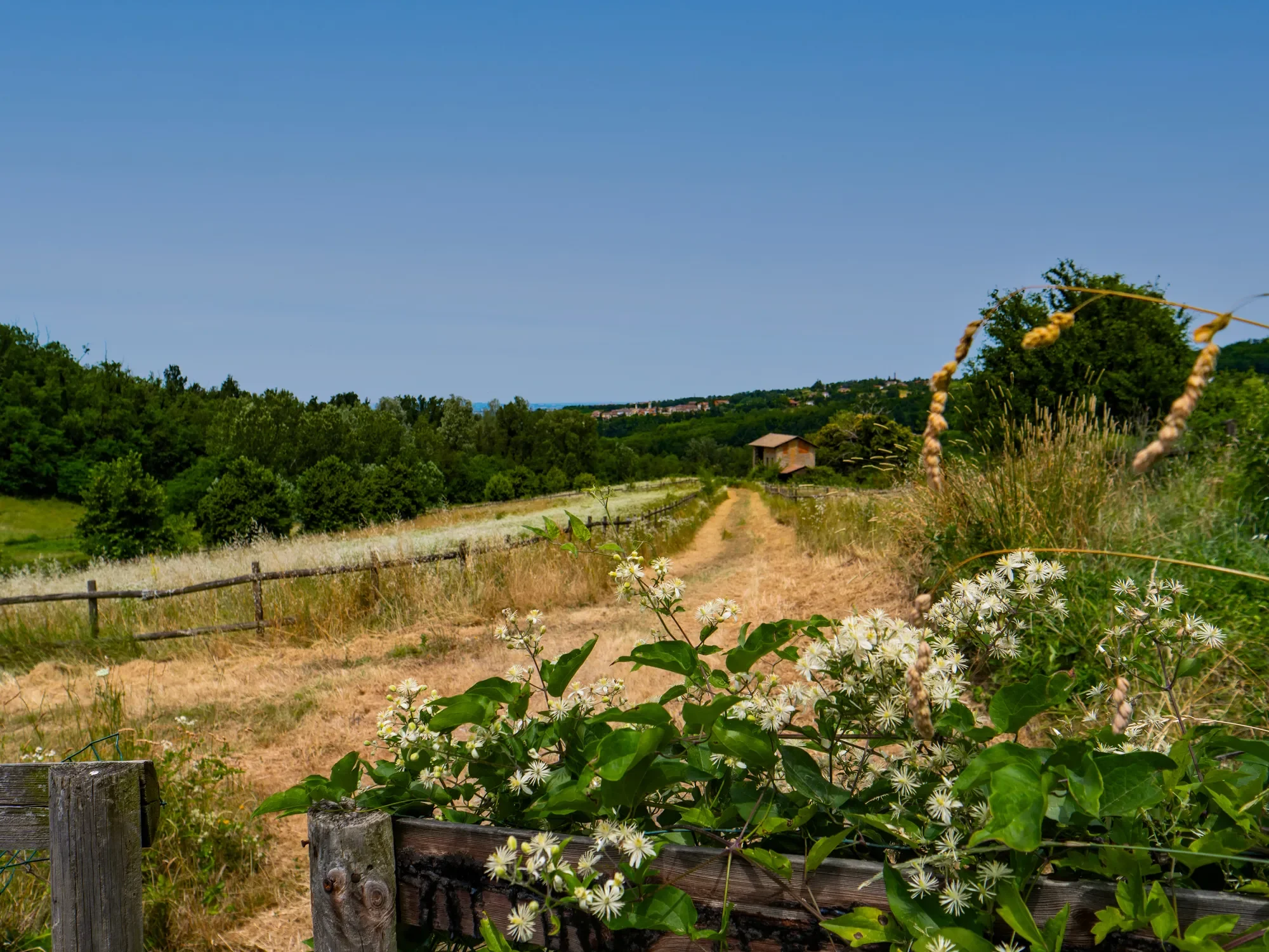 Country House Dei Boschi