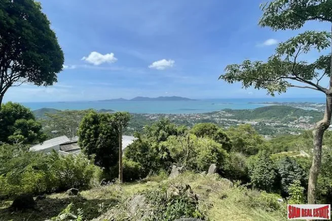 Surat Thani,, Surat Thani, Surat Thani, Thailand. - Photo 5