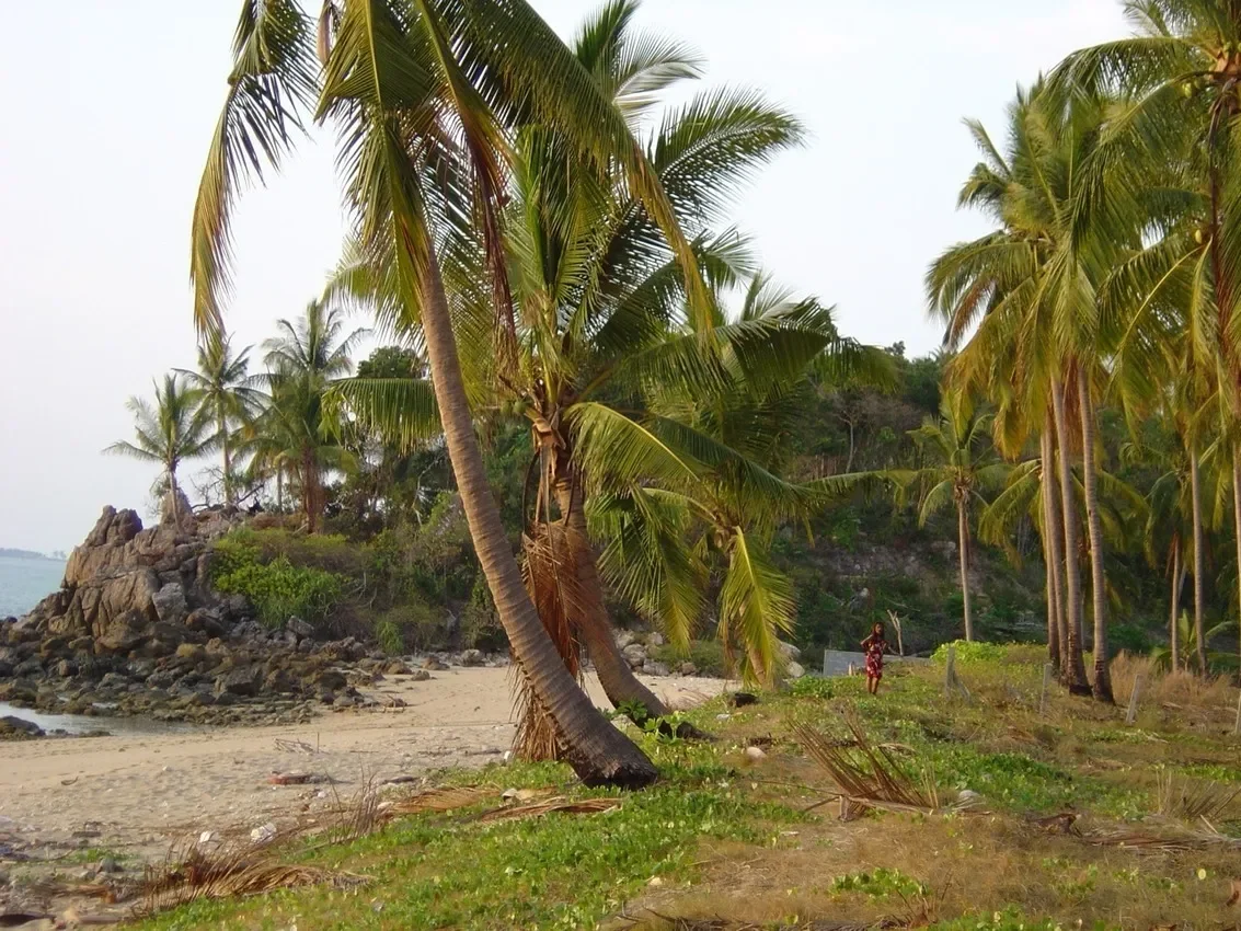Koh Lanta,, Sala Dan, Krabi, Thailand. - Photo 2