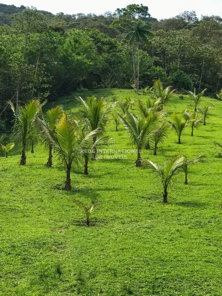 Margem Esquerda, State of Santa Catarina, Brazil. - Photo 17