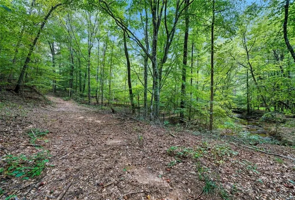 857 Jack Page Drive, Canton, Georgia, United States. - Photo 6