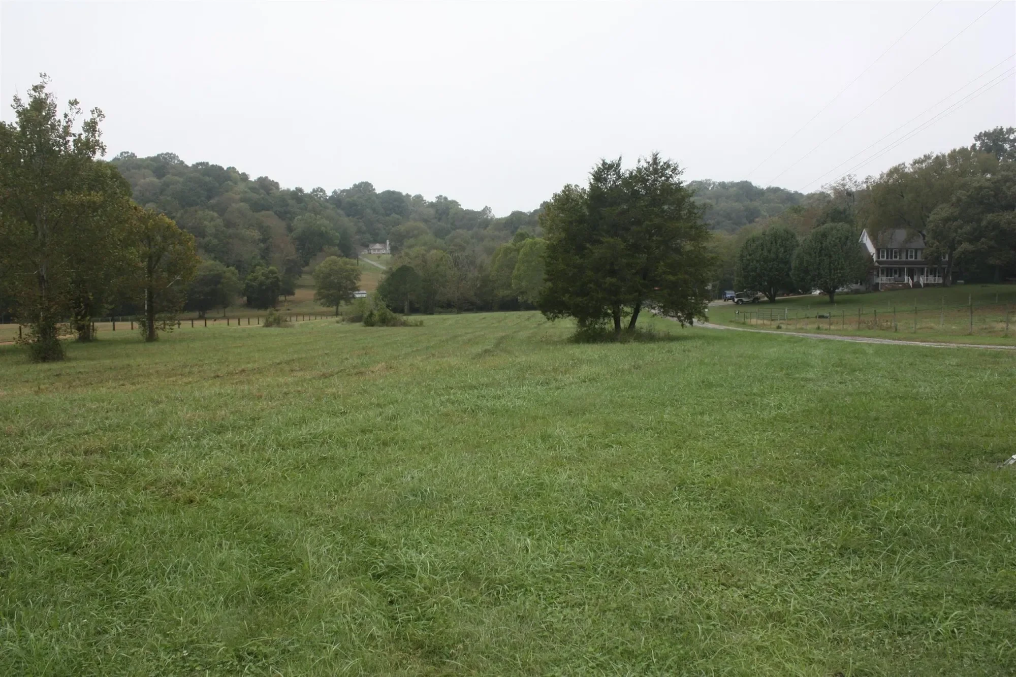 Gallery photo 4