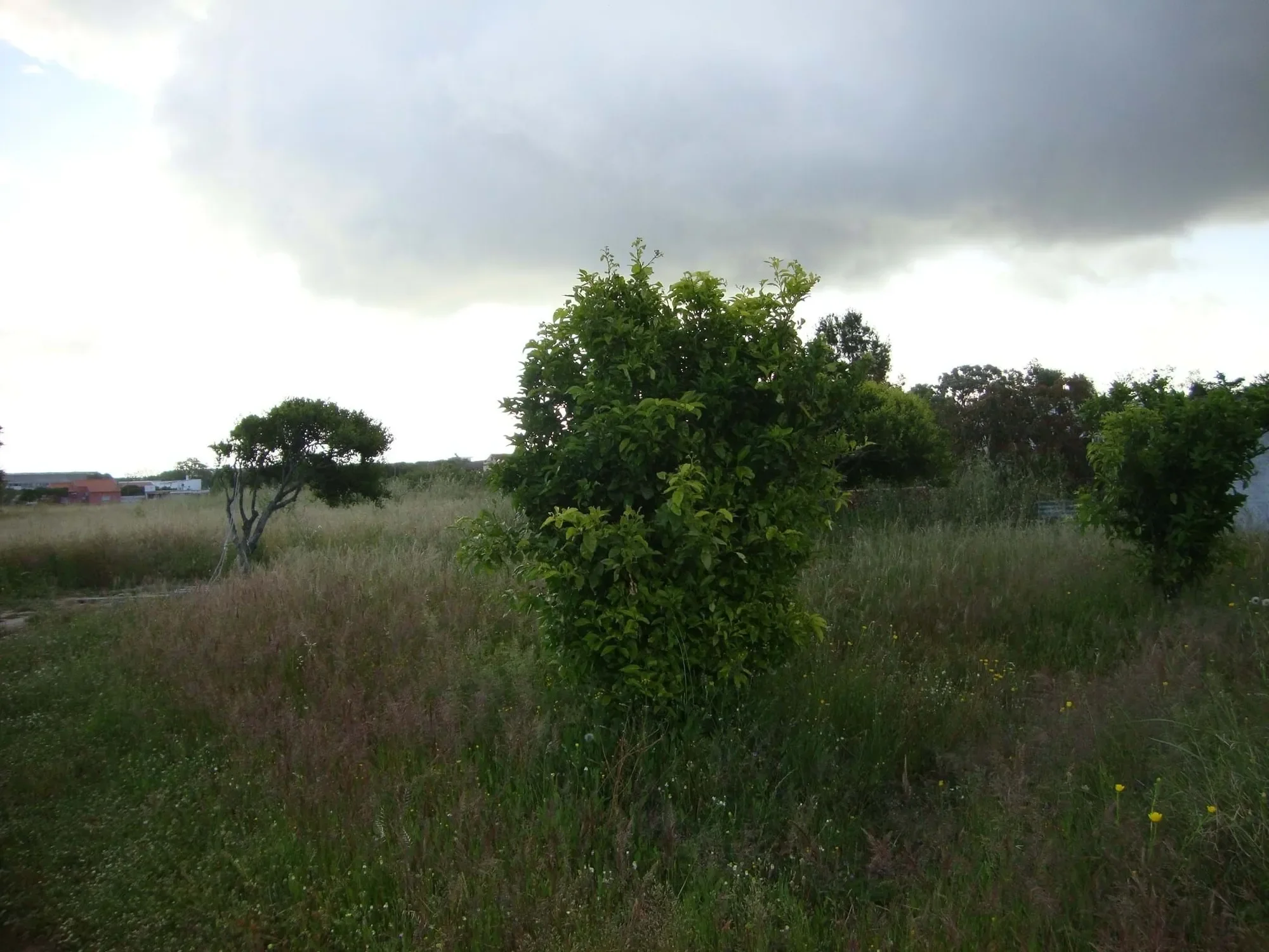 Gallery photo 2