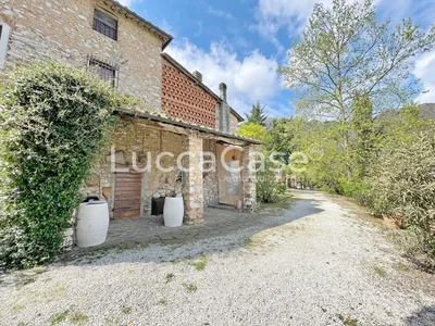 Thumbnail 24