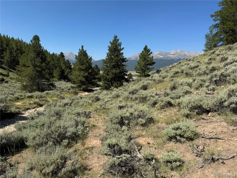 12340 Us Highway 24, Leadville, CO 80461, 80461, Colorado, United States. - Photo 31