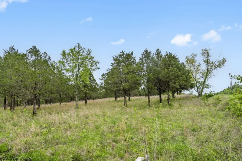 900 James F Epps Road, Branson, MO 65616, Branson, Missouri, United States. - Photo 25