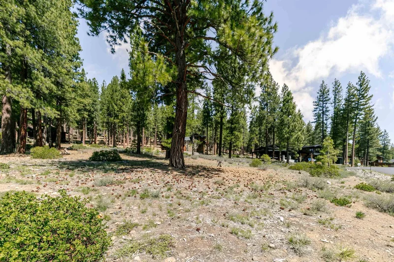 11420 Ghirard Road, Truckee, California, United States. - Photo 6