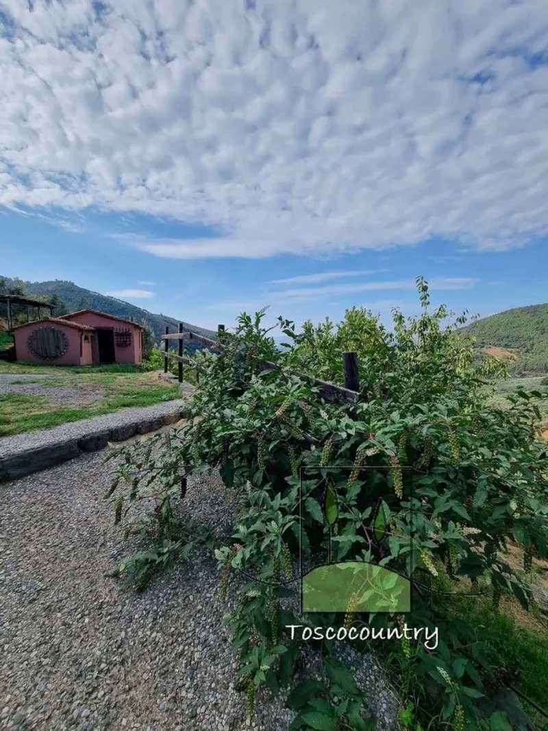 Santo Pietro, La Pieve, Tuscany, Italy. - Photo 9