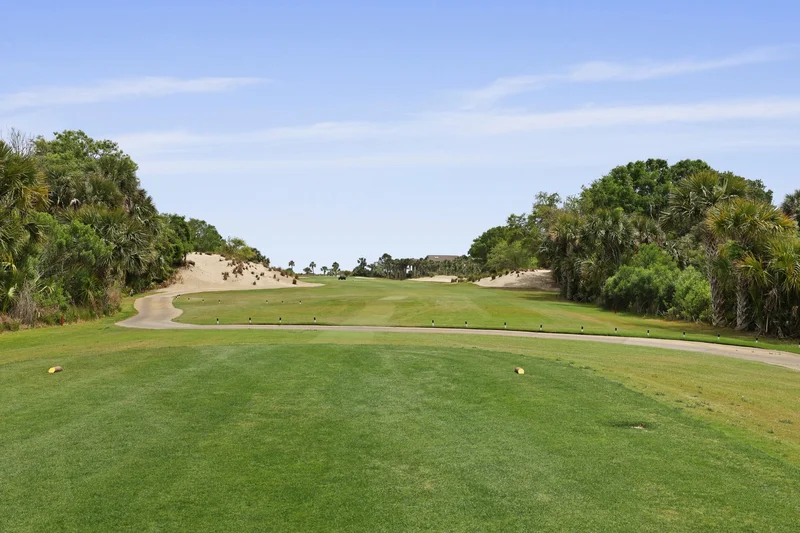 2860 Old Drake Drive, Seabrook Island, SC 29455, Johns Island, South Carolina, United States. - Photo 88