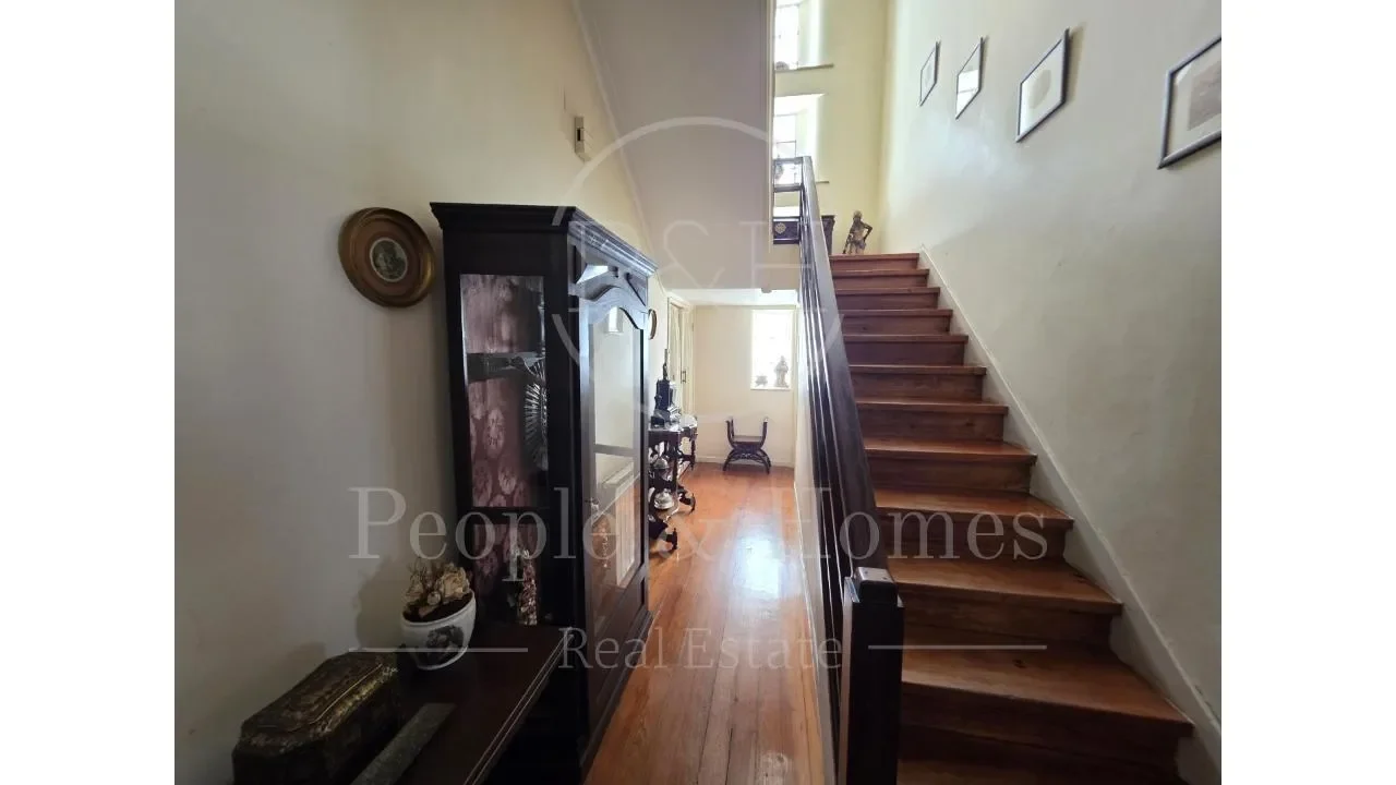 Gallery photo 8