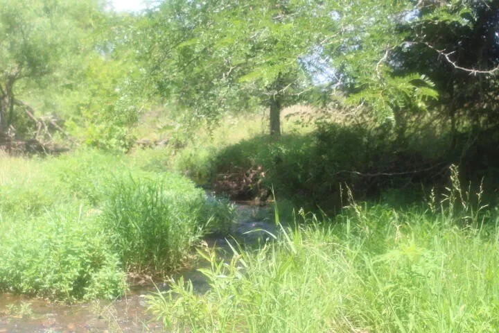 3176 S 170th Road, Polk, MO 65727, Bolivar, Missouri, United States. - Photo 38