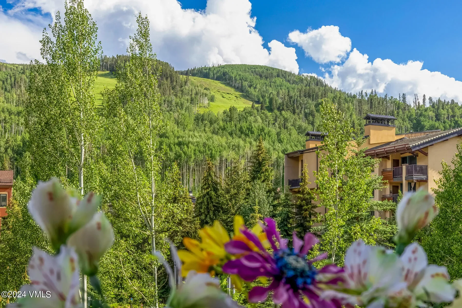 635 Lionshead Place 382, Vail, Colorado, United States. - Photo 4