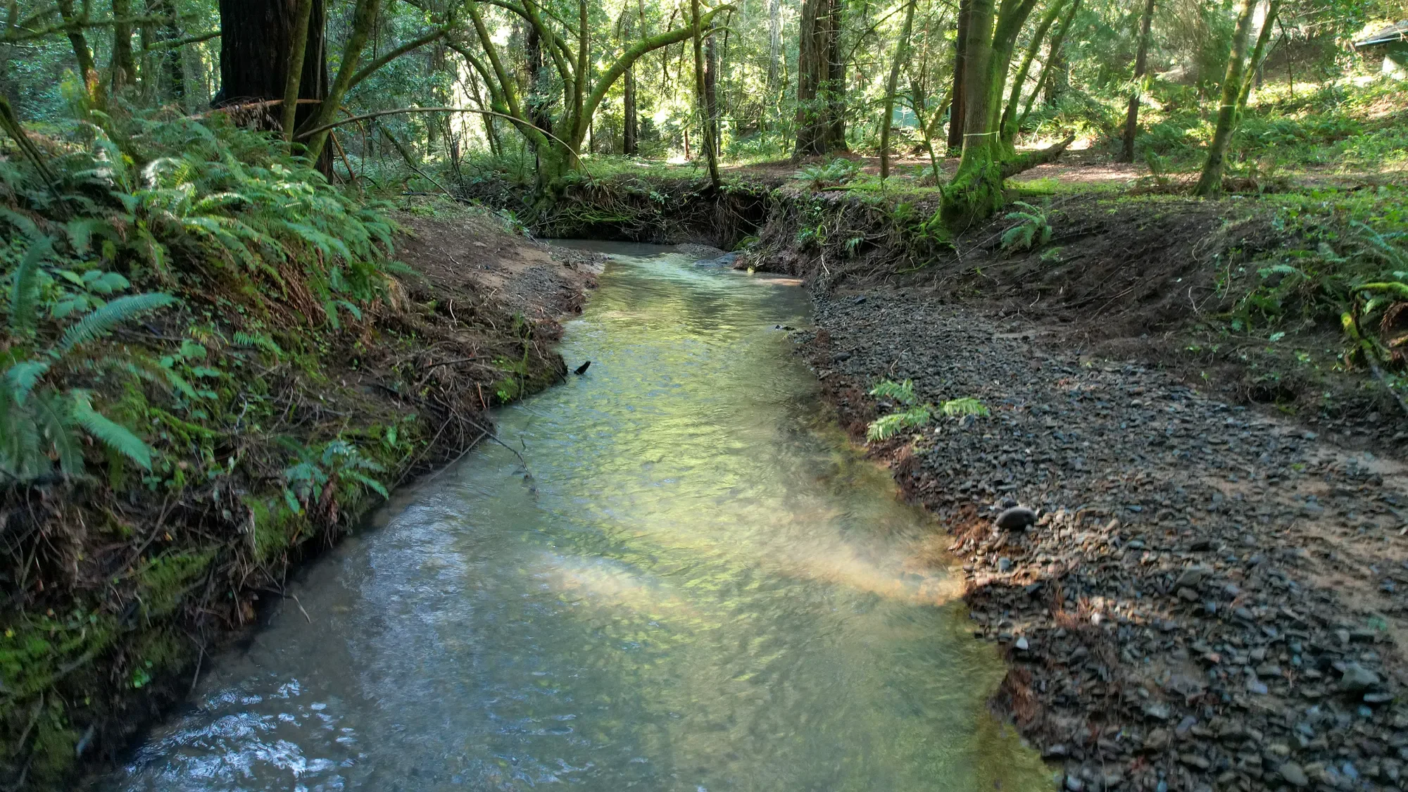 1490 Felta Road , Healdsburg, CA 95448, Healdsburg, California, United States. - Photo 10