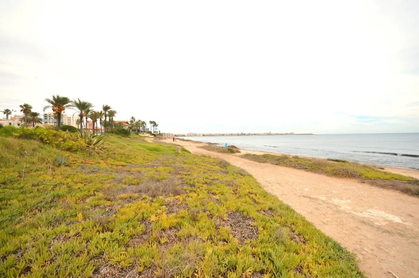 La veleta, Torrevieja, ALICANTE, Torrevieja, Torrevieja, Valencian Community, Spain. - Photo 53