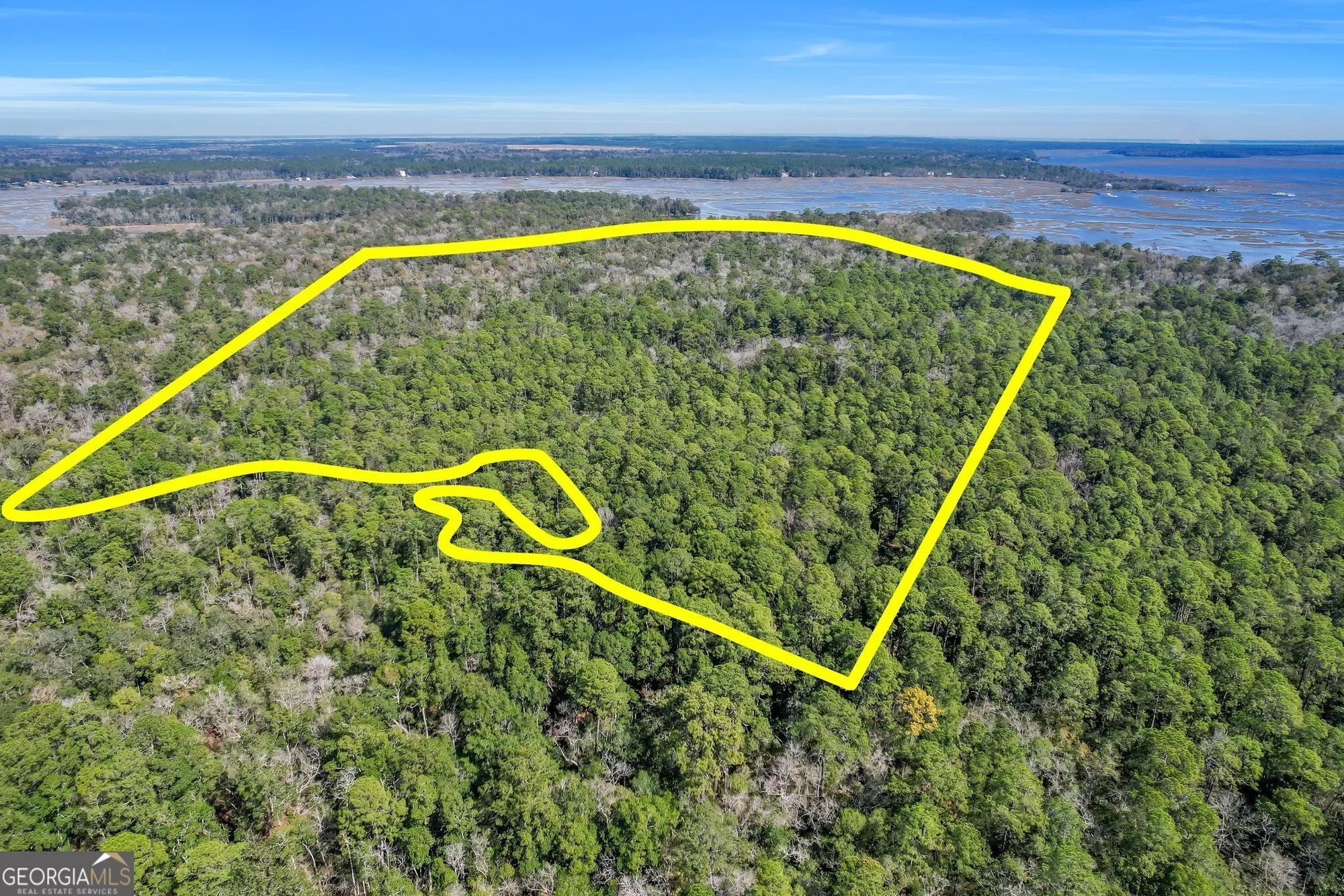 0 Drizzle Bluff Road, Woodbine, GA 31569, Woodbine, Georgia, United States. - Photo 1