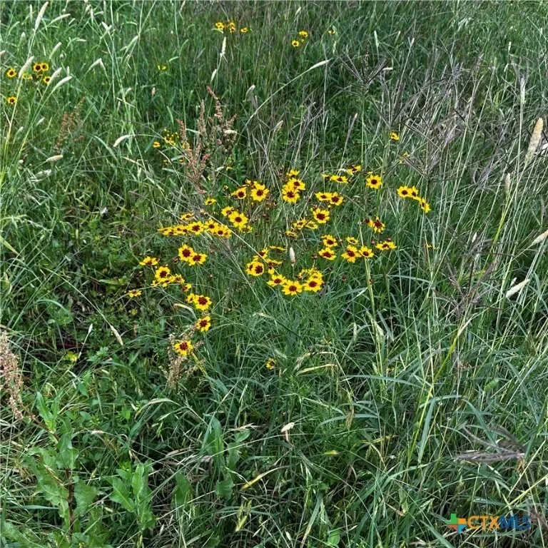 383 Fm 766, Cuero, Texas, United States. - Photo 31