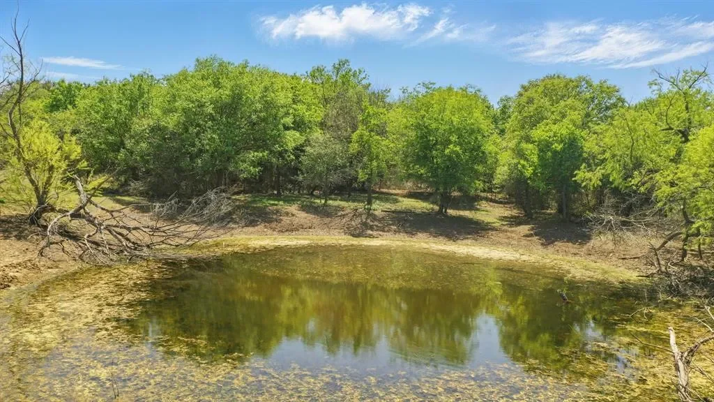 1359 County Road 195, Gorman, TX 76454, Comanche, Texas, United States. - Photo 4