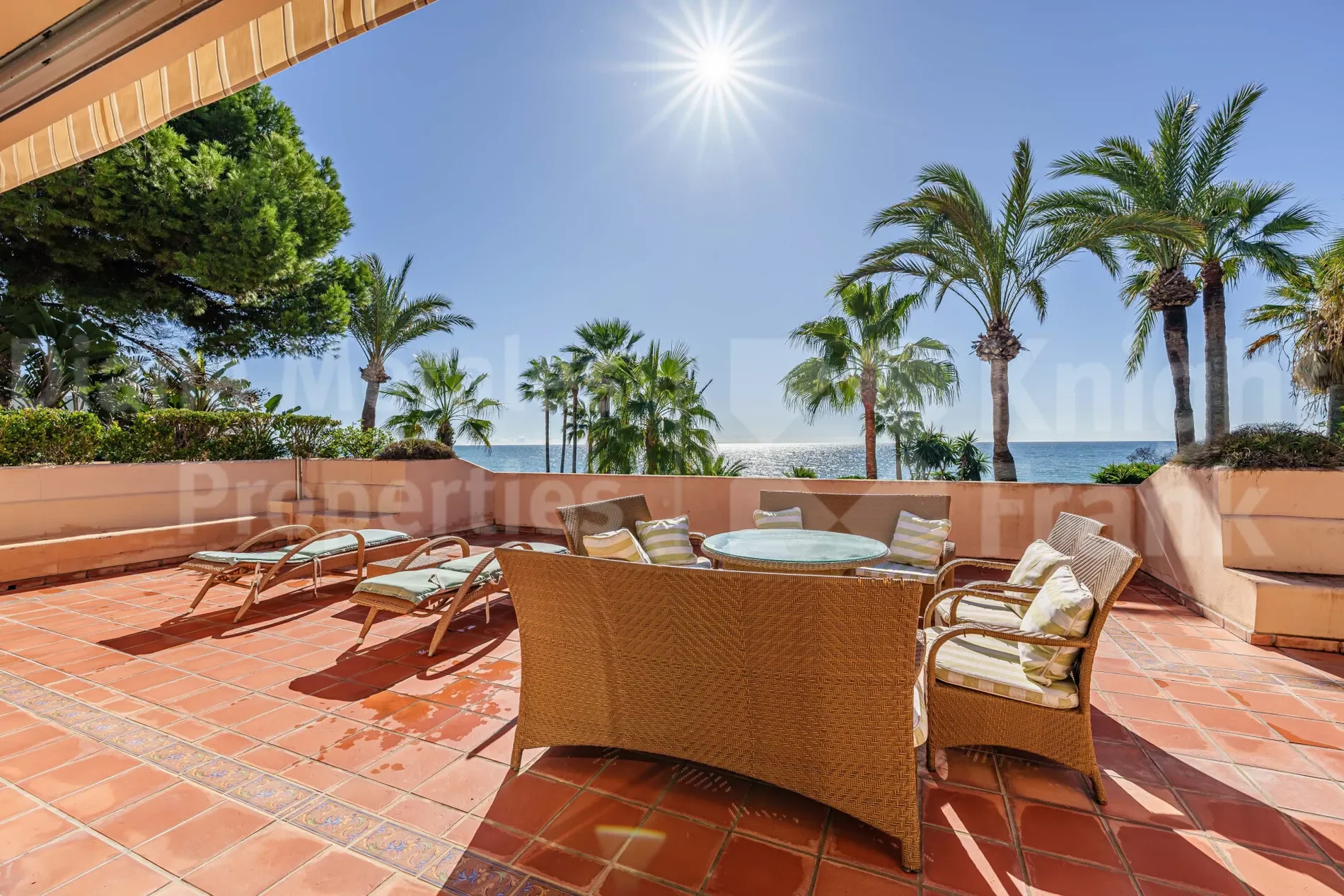 Estepona, Andalusia, Spain. - Photo 37