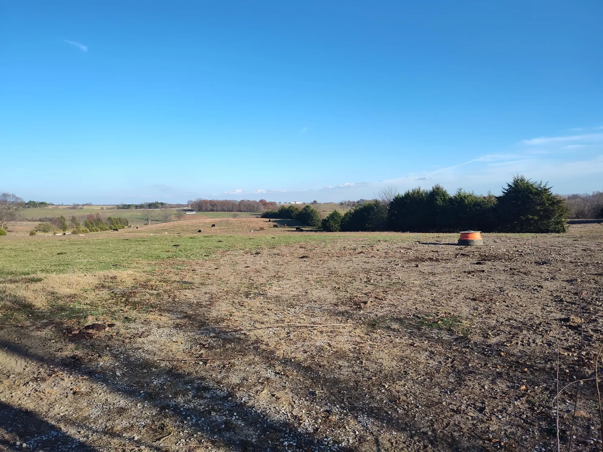 1672 E 355th Road, Bolivar, MO 65613, Pittsburg, Missouri, United States. - Photo 49