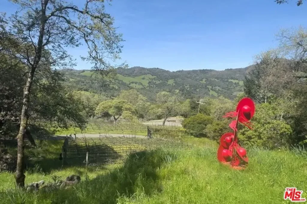 351 Wall Road, Napa, California, United States. - Photo 48