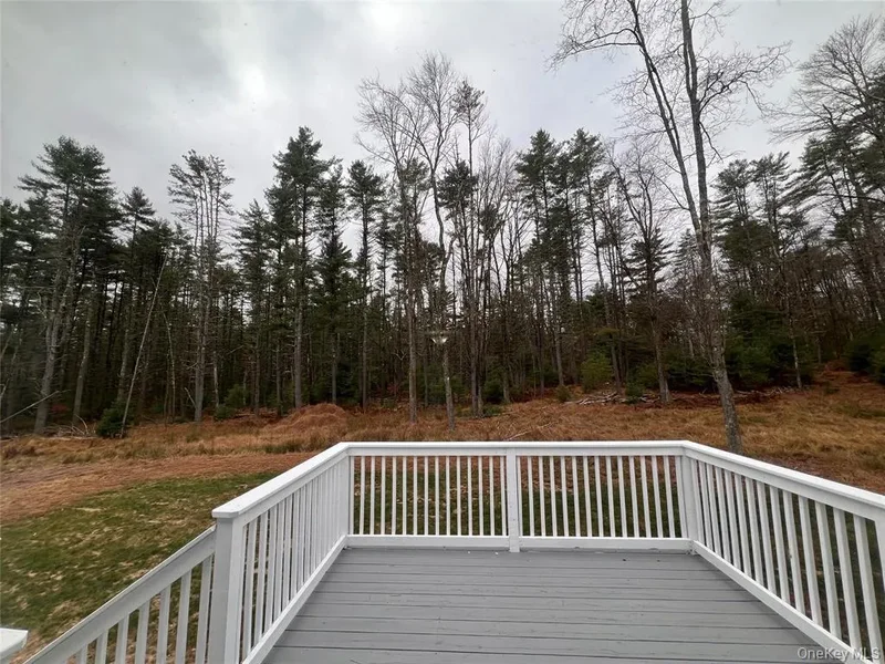 26 Summit Drive, Yulan, NY 12719, Barryville, New York, United States. - Photo 31