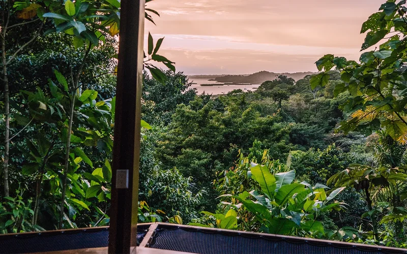 Bahía Honda, Bastimento, Provincia de Bocas del Toro, Panama, Bastimentos Island, Bocas del Toro Province, Panama. - Photo 51