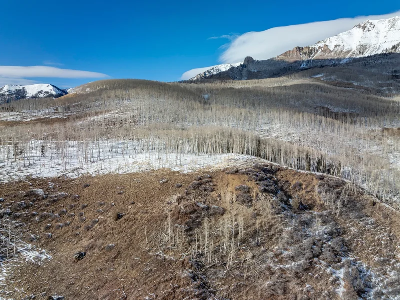 TBD Basque Boulevard 113 & 114A , Telluride, CO 81435, Mountain Village, Colorado, United States. - Photo 16