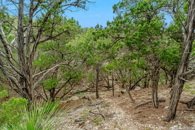 411 Valley View, Pipe Creek, Texas, United States. - Photo 41
