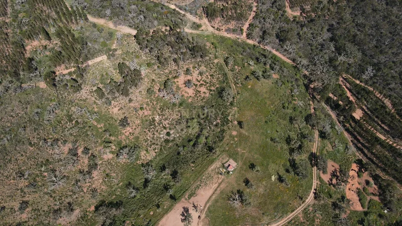 Maceirinha, Sao Salvador e Santa Maria, Beja District, Portugal. - Photo 21