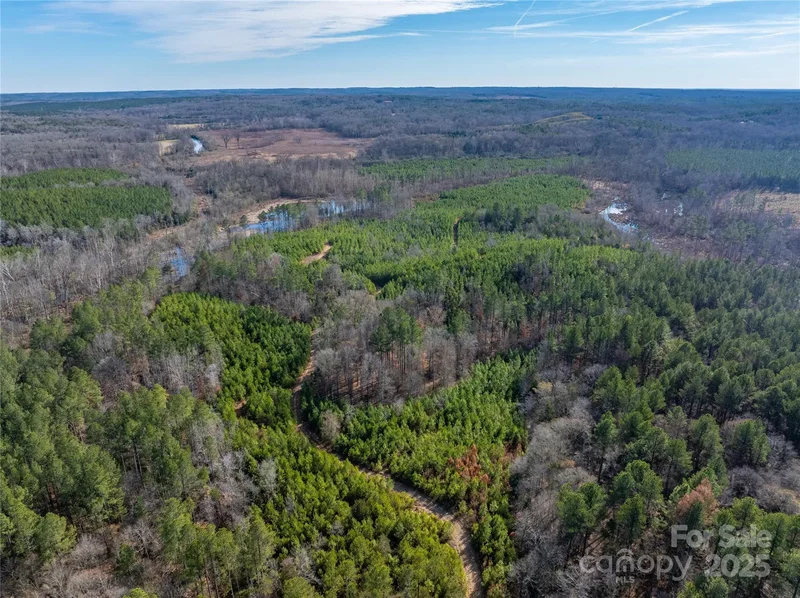 0000 Quarter Round Road #9, Pacolet, SC 29372, Pacolet, South Carolina, United States. - Photo 18