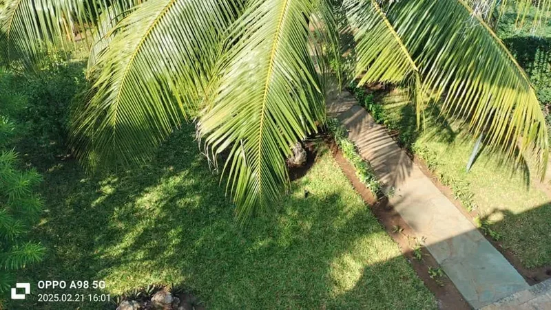 Watamu Beach, Kenya, Watamu Beach, Kilifi County, Kenya. - Photo 22