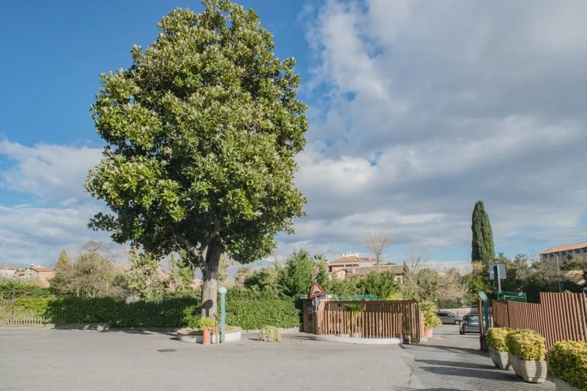 Apartment for Sale in Rome in Giustiniana Area Via Trionfale