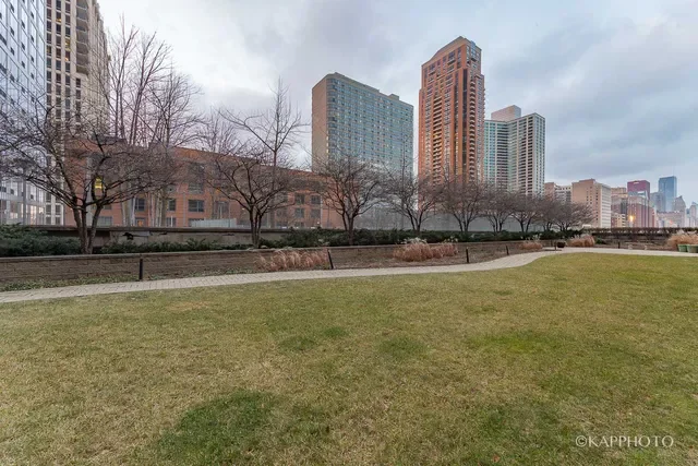 1250 S Indiana Ave 803, Chicago, IL 60605, Chicago, Illinois, United States. - Photo 33