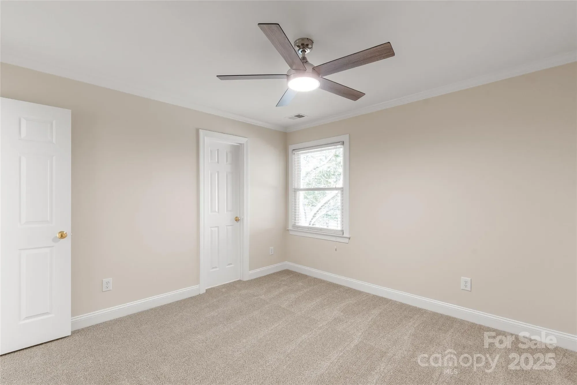 Gallery photo 11