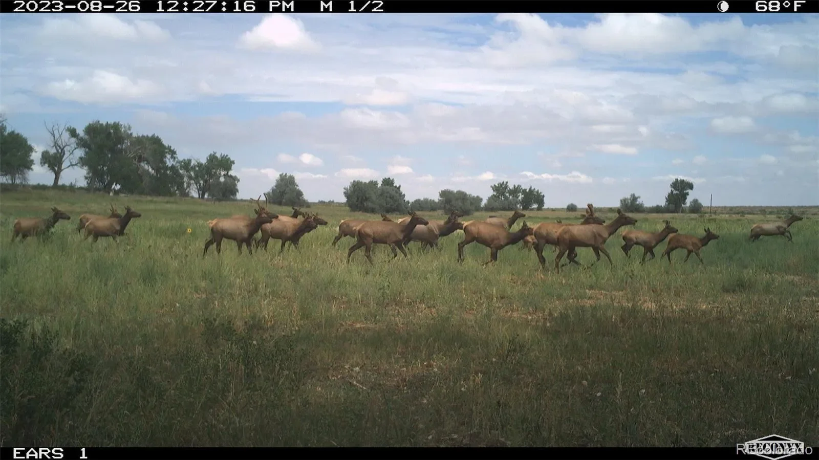 Walsenburg, Colorado, United States. - Photo 36