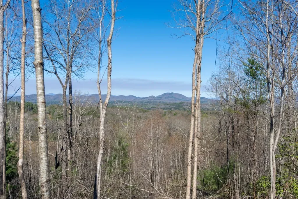 41AC Loving Road, Blairsville, Georgia, United States. - Photo 7