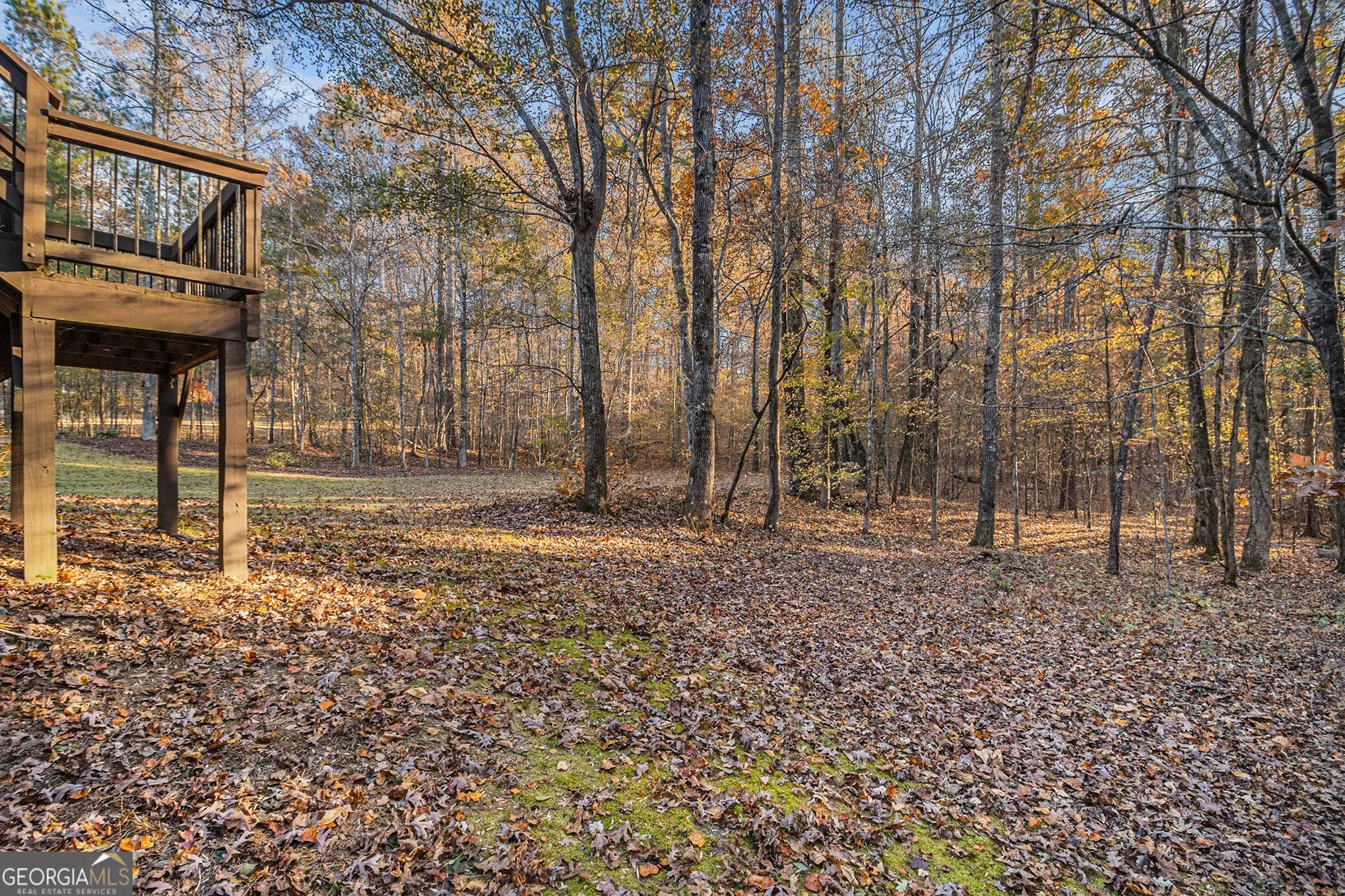 Monroe, Georgia, United States. - Photo 48