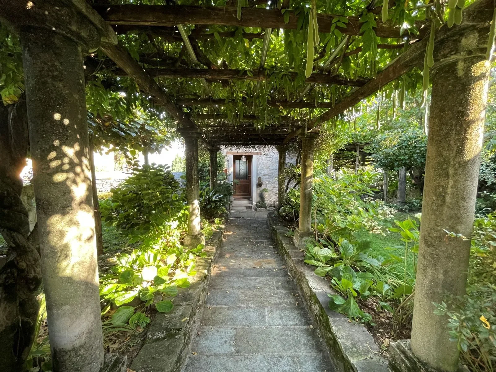 Gallery photo 12