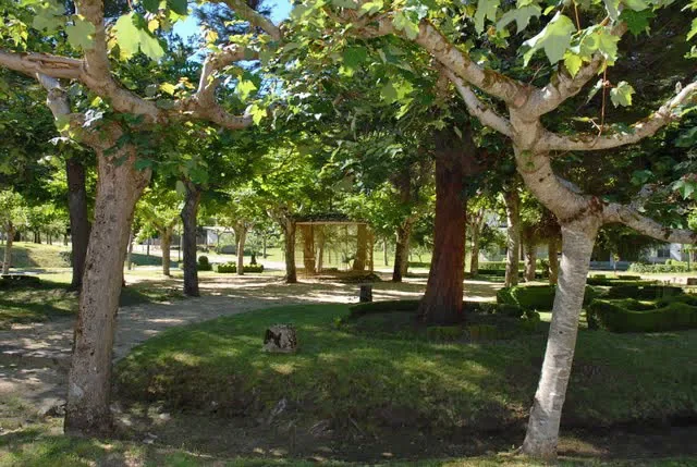 Gallery photo 2