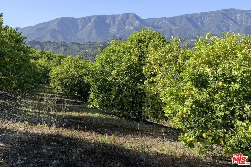 249 Lambert Road, Carpinteria, California, United States. - Photo 51