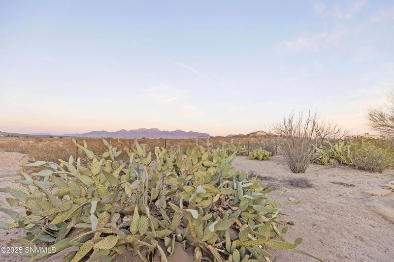 5495 Artist Road, Las Cruces, NM 88011, Las Cruces, New Mexico, United States. - Photo 42