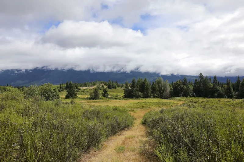 8855 Central Lake Road, Port Alberni, BC V9Y 8Z1, Port Alberni, British Columbia, Canada. - Photo 16
