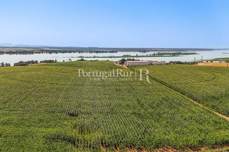 Country Estate Sale Évora
